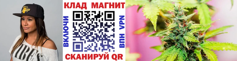 Виды наркотиков купить Венёв NBOMe  Мефедрон  ГАШИШ  АМФ  кракен сайт  Альфа ПВП  Cocaine 