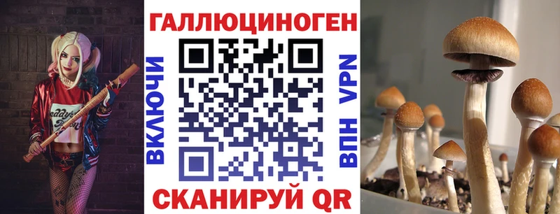 Псилоцибиновые грибы мицелий как найти наркотики Венёв